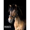 Weiches Lederhalfter von Nordic Horse