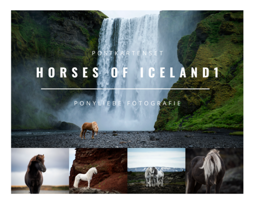 Postkartenset Horses of Iceland 1