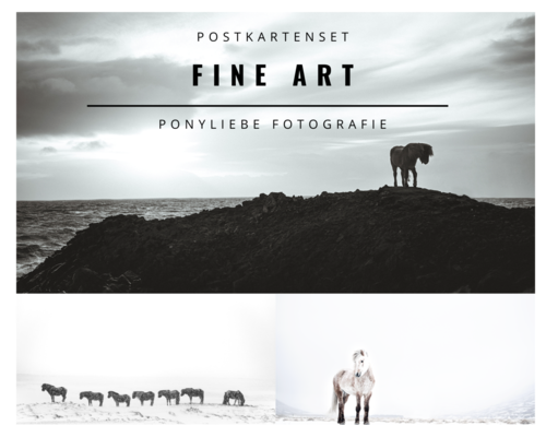 Postkartenset Horses of Iceland Fine Art